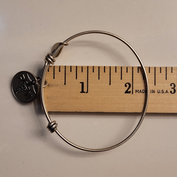 BELLA RYAN Registered Nurse Expandable Bangle Charm Bracelet in Silver - Picture 6 of 7